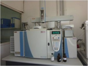 Spectromètre de masse isotopique (IRMS)