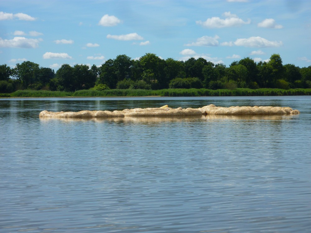 Vue des îlots de paille d'orge disposés en queue d'étang
